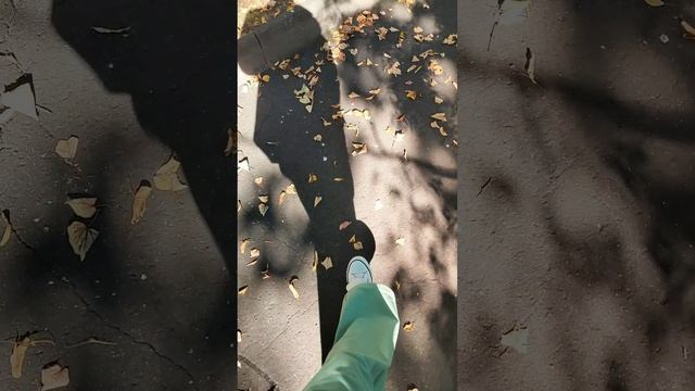 Моё Измайлово | Измайловский проспект, Лесопарк, Нижняя Первомайская, Парковые улицы (Август 2024)