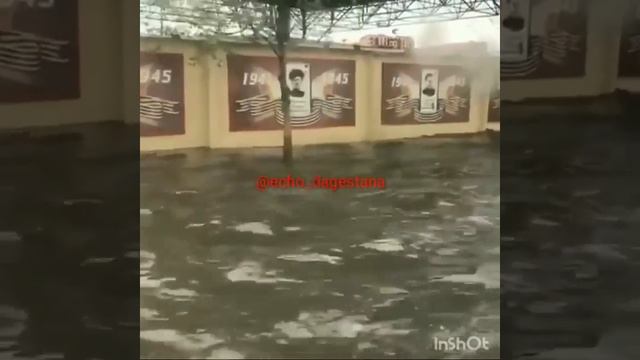 Махачкала! Васильев не стыдно?