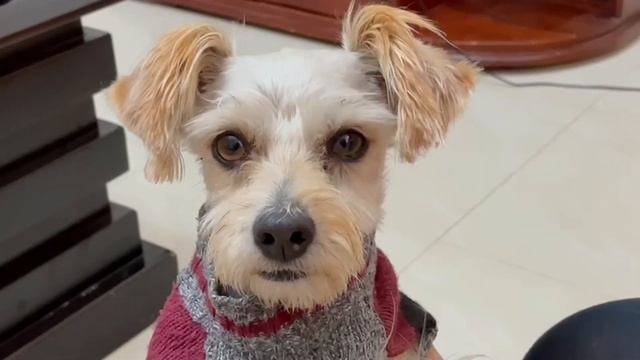 Teorema de Maxwell-Betti - Math Pets