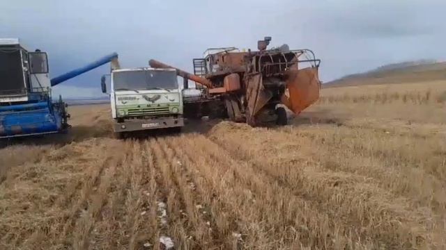 Комбайны Енисей Уборочная.