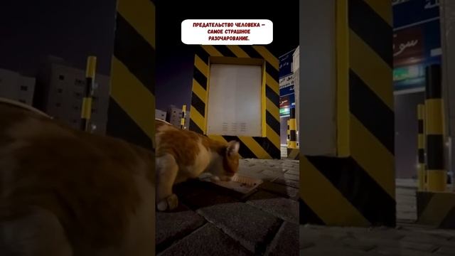 Добрый человек!