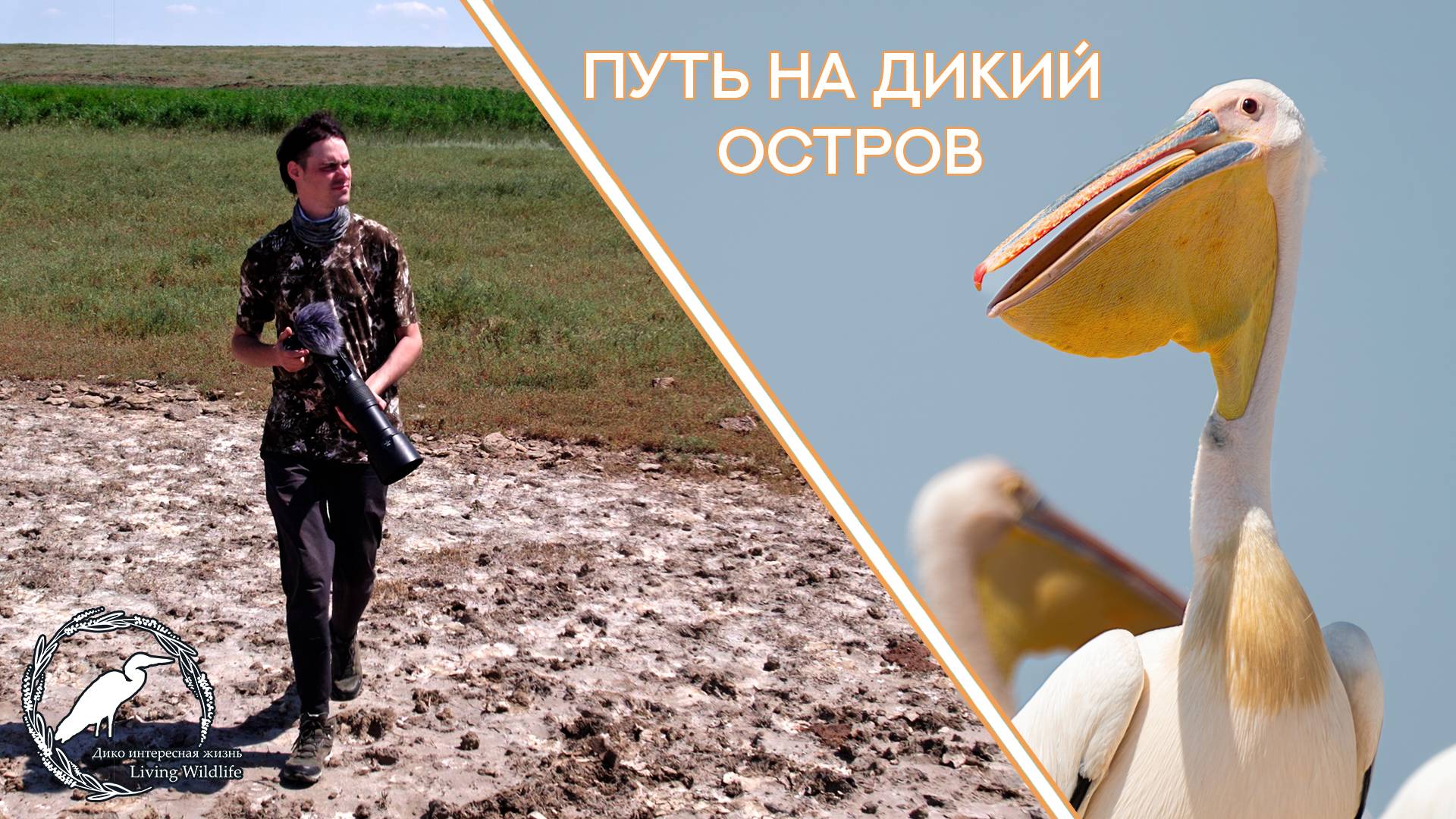 КАЛМЫКИЯ 2023 | Часть 1 - Путь на дикий остров