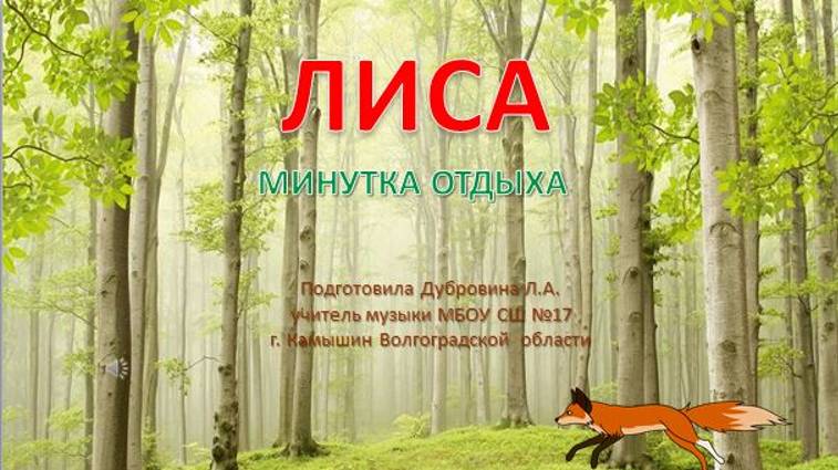 Минутка отдыха Лиса