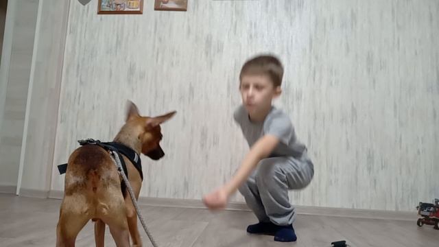 VID20241022212142.mp4