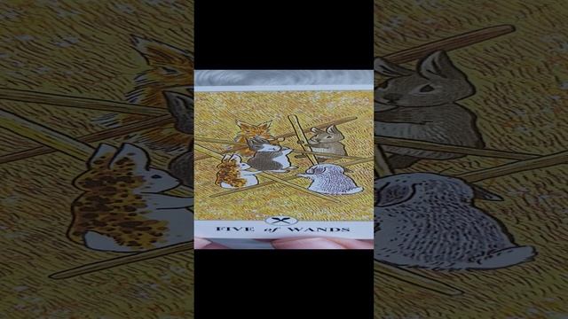 КАРТА ДНЯ ТАРО