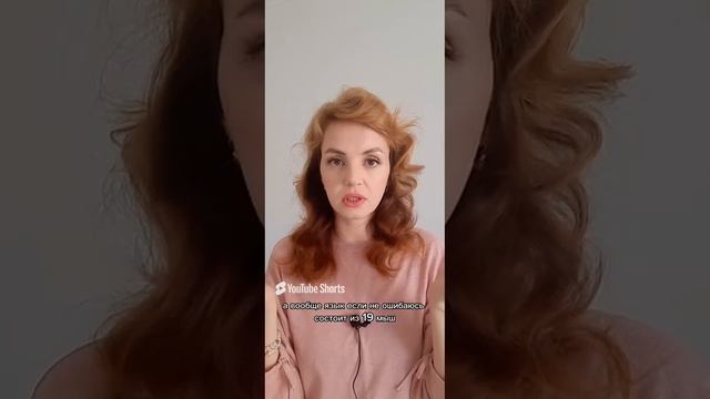 Уроки вокала. Первая распевка. Гласные буквы