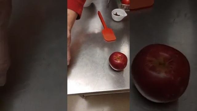 Cooking with Grandma Tanner - Baked Apples with Oatmeal Filling (Part 1)