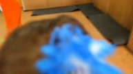 Новогодний утренник 2019 в MDS для малышей