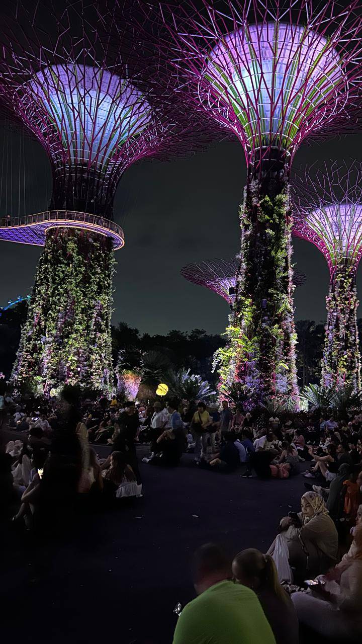 Gardens by the Bay, одна из самых узнаваемых достопримечательностей Сингапура, и его световое шоу!