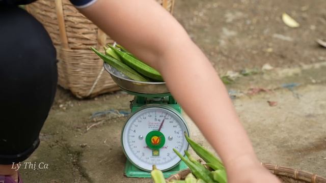 Harvest Gac Fruit & Okra Goes to the market sell | Ly Thi Ca