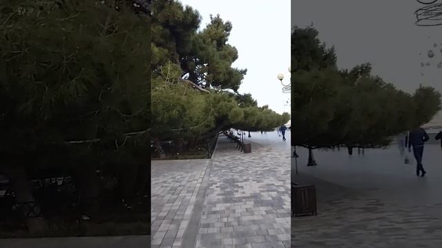 Алушта. # фонтан # чёрное море # культуризм и красота
