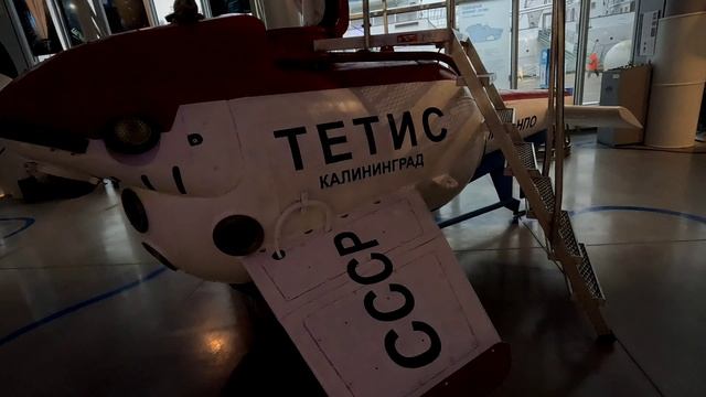 Экскурсия в Музей мирового океана, Калининград