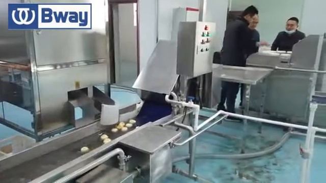 Industrial apple ring processing line