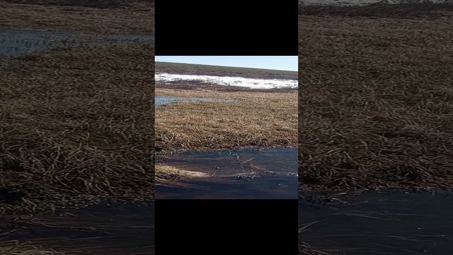 Сезон 15 серия 23 Мёрзлое днище