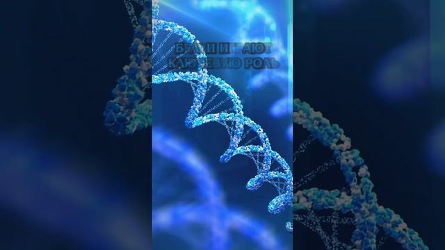 Зеленое чудо: как спирулина АТОМИ возвращает коже молодость