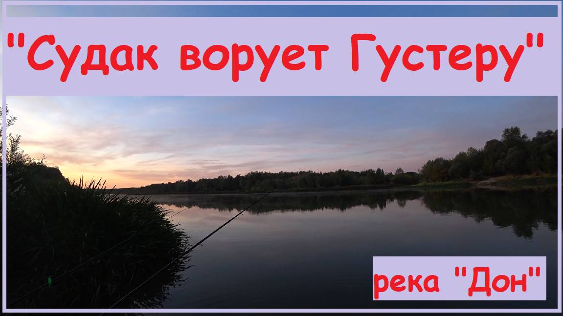 "Судак ворует Густеру".