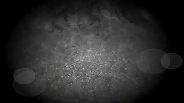 Lets Play slendermans Forest 2/8 Seiten