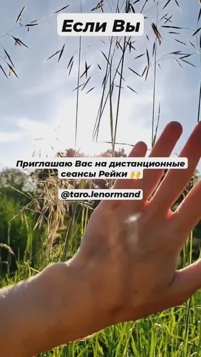 Сеансы энергокоррекции 💫 Запись - в ЛС 📝 #энерготерапия #рейки #исцеление t.me/tarot_healing