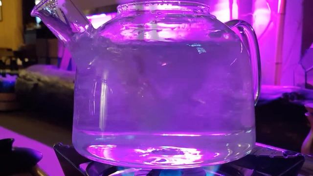 Чай нужно пить пока он не остыл