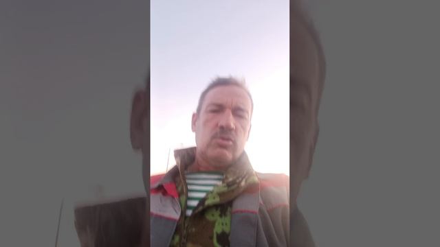 Анекдот про жизнь.