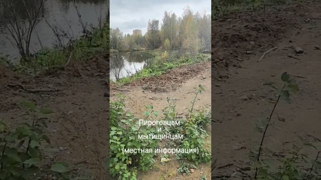 Слушай. ИЗДЕВАТЕЛЬСТВО над  р. Клязьма. Пос. Пироговский