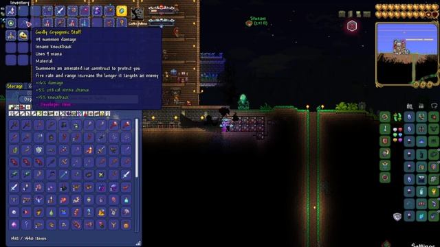 terraria with a friend