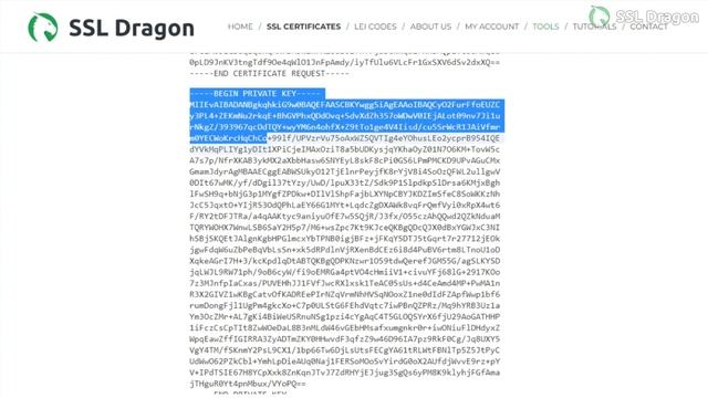 How to Install an SSL Certificate on Heroku | SSL Dragon
