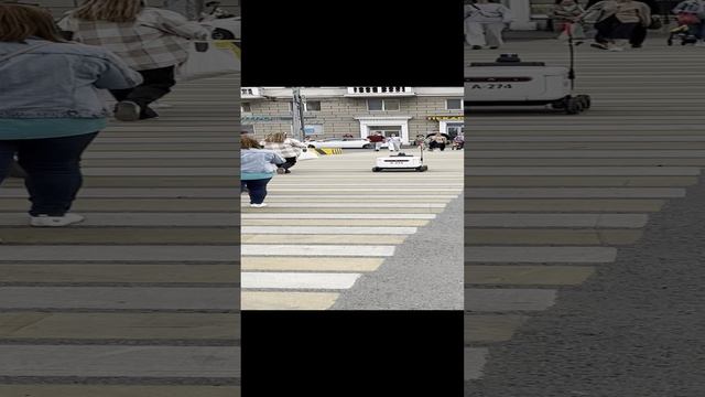 Осень 2024
