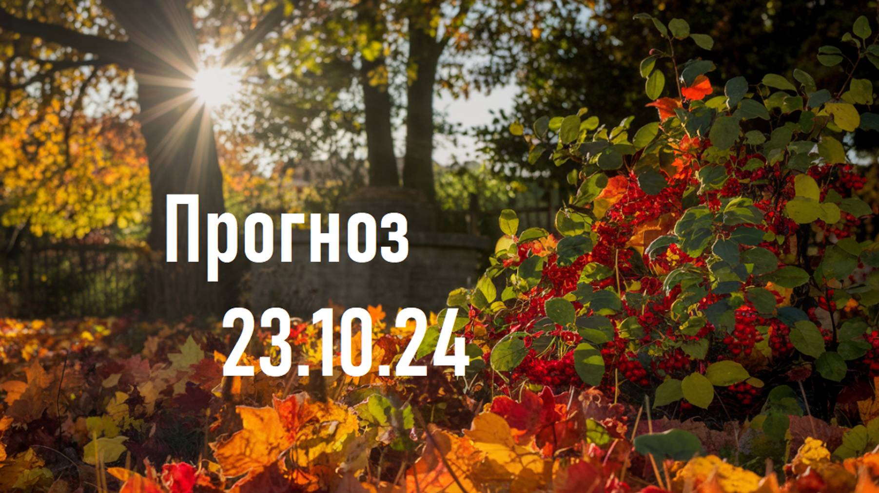 Астрологический прогноз 23.10.24  Гороскоп