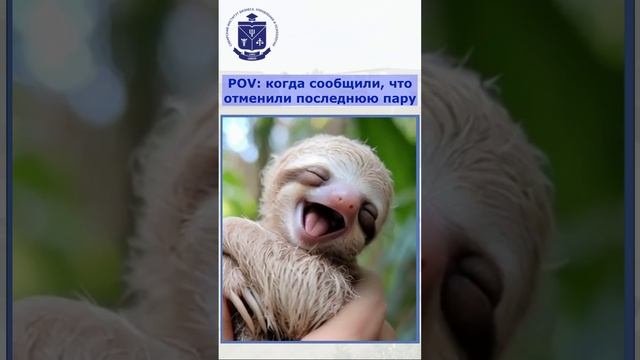 СИБУП | Мемы | Когда отменили последнюю пару