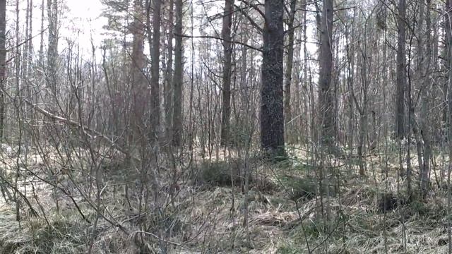 По реке Мга в половодье. 2012.