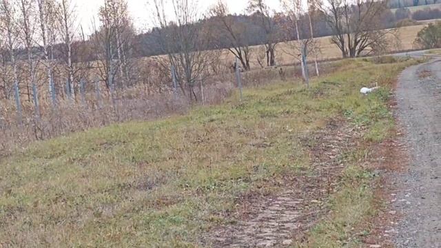 В с. Красная Речка началась установка ограды вокруг храма