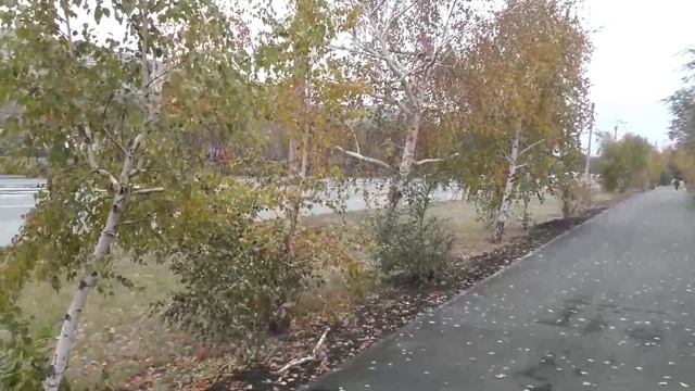Осень