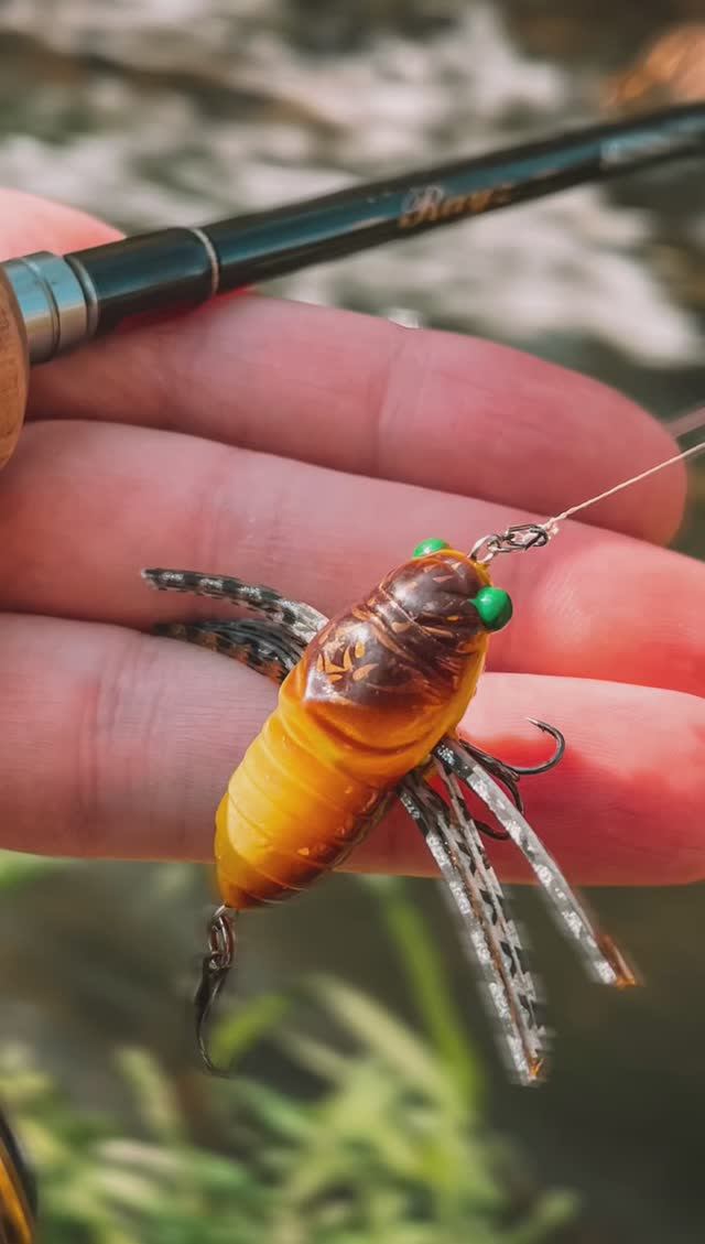 ГОЛАВЛЬ ОСЕНЬЮ 🍁🎣