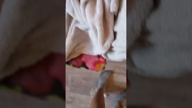 1000023269.mp4