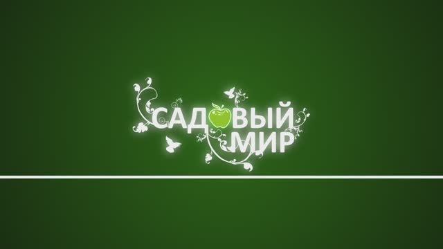 КАК БЫСТРО УСТАНОВИТЬ БОРДЮР ДЛЯ САДА "РОТАНГ"