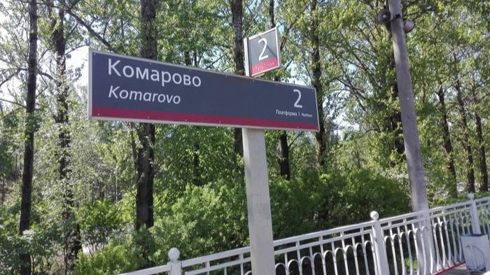 И.Скляр_Комарово_Mix_pln
