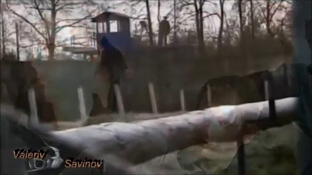 ПРОЩАЙ 
