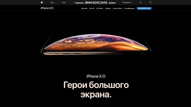 Новые iPhone Xs, Xs Max, Xr , Apple Watch - цены