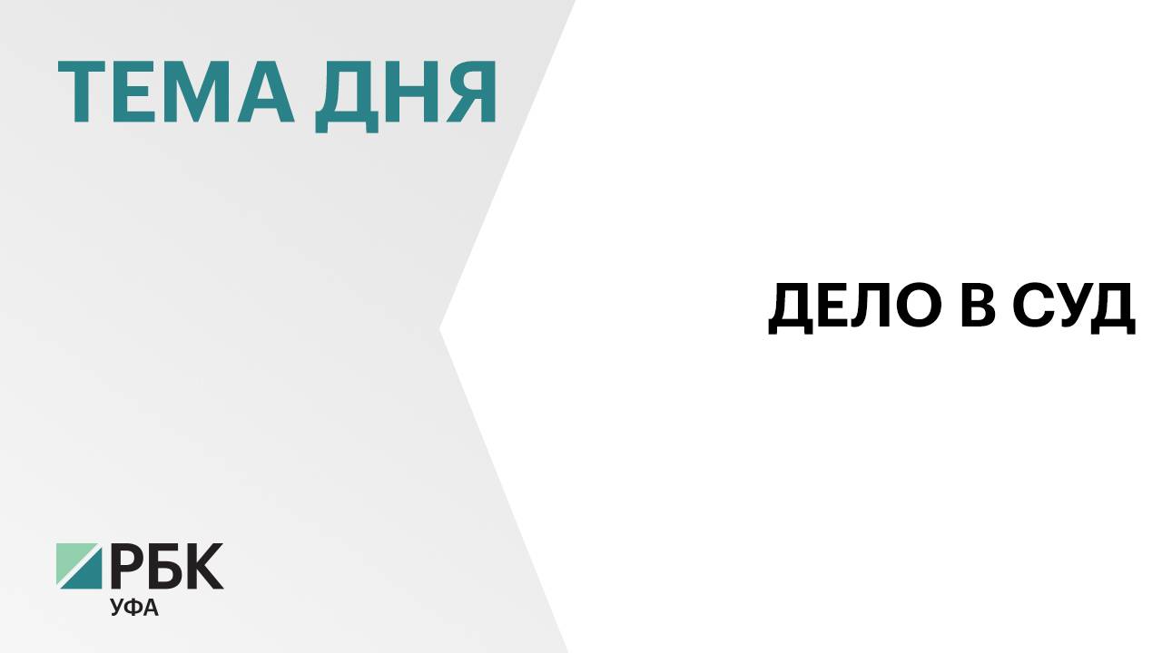 Дело экс-руководителя Госкомитета Башкортостана по молодежной политике Яны Гайдук направили в суд