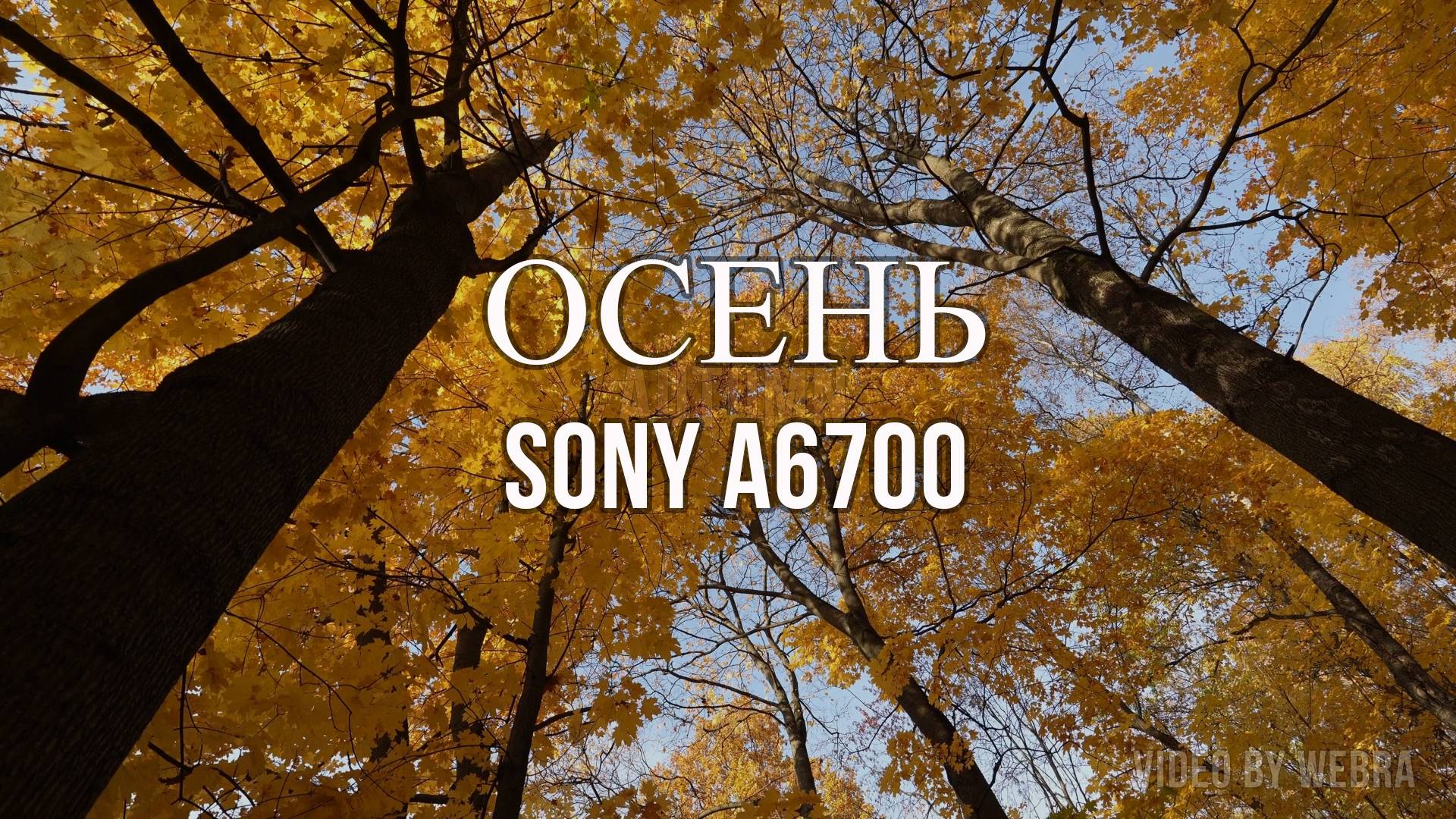 ОСЕНЬ - Sony a6700