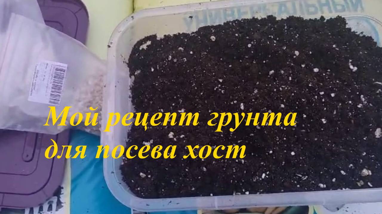 Мой рецепт грунта для посева семян хост.