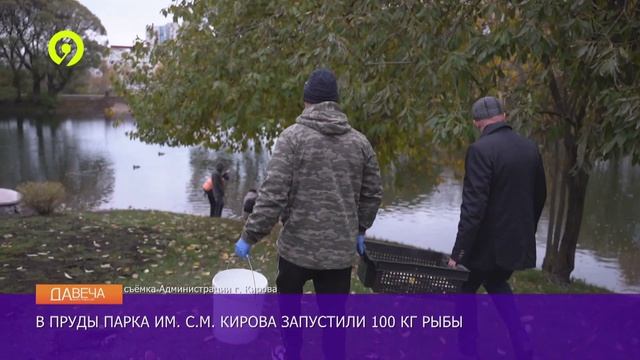 Давеча | 22.10.2024 |Выпустили рыбу в пруд