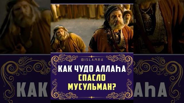Чудо спасшее мусульман
