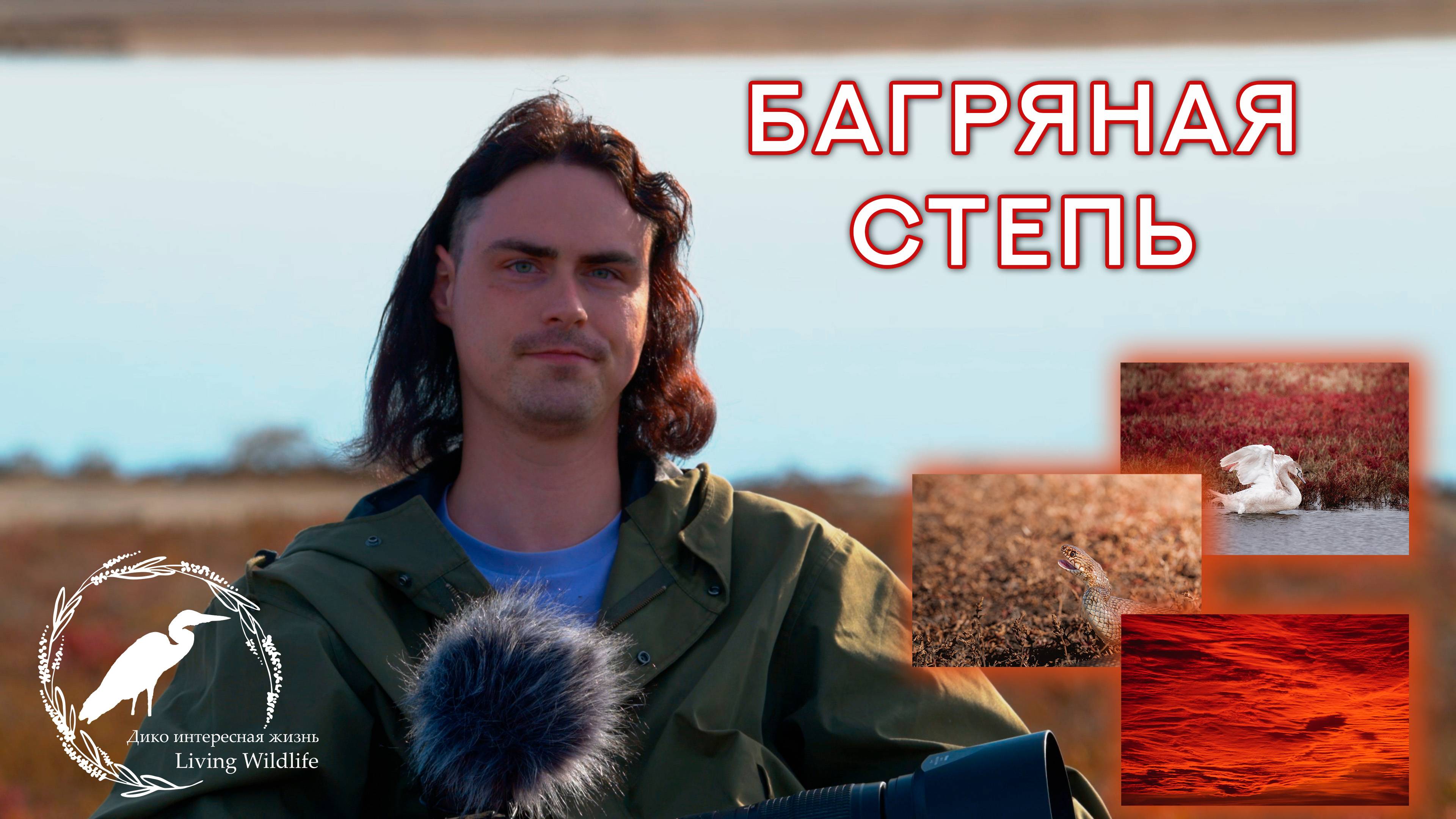 БАГРЯНАЯ СТЕПЬ | Съёмка отлёта журавлей на озере Маныч-Гудило
