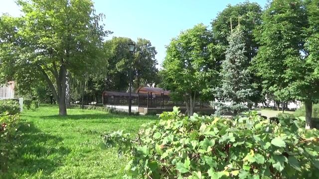 Art Manij #ФОН🌳 Лес и 🦚🦩пенье птиц