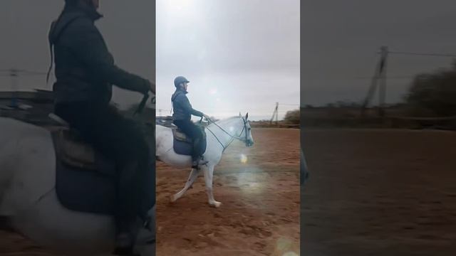 Стрельба из лука. Джигитовка