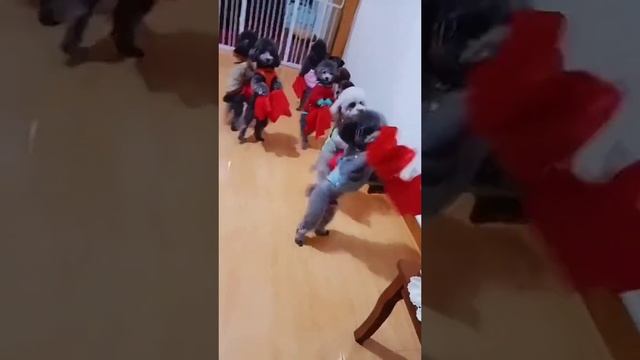 Утренник в детском саду