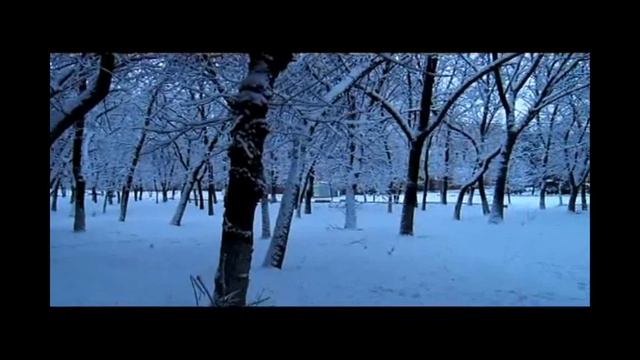 ЗИМНЕЕ УТРО 2012 г.-2.wmv