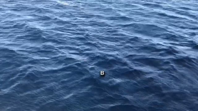 Молитва от тяжёлой жизни